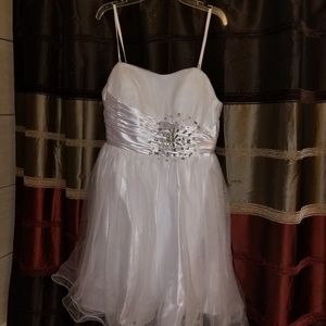 Wedding Dress and Veil